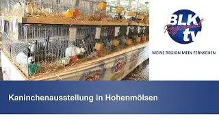 Kaninchenausstellung in Hohenmölsen