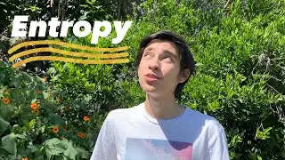 Breakthrough Junior Challenge 2020 | Entropy: The Beauty of Disorder