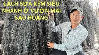 CÁCH SỬA SIÊU NHANH GIÚP NHÀ VƯỜN TIẾT KIỆM THỜI GIAN VÀ CÔNG SỨC