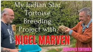 Nigel Marven meets my Indian Star tortoise 'Rufus'