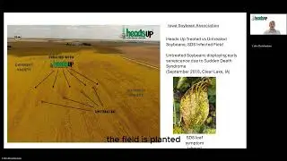 Soybean Sudden Death Syndrome. A major yield robbing soybean disease and how to manage it!