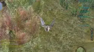 Aion: Flying