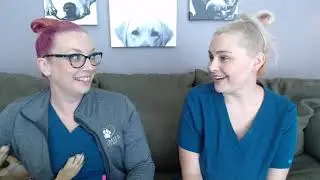 Premier Pet Care talks about diabetes!