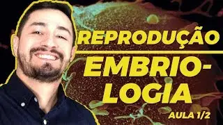REPRODUÇÃO | EMBRIOLOGIA - segmentação, célula tronco, gravidez ectópica, Gêmeos, gravidez.