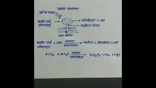 #प्रकाश संश्लेषण।  #photo synthesis #youtubeshorts