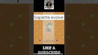 Saplette evolve