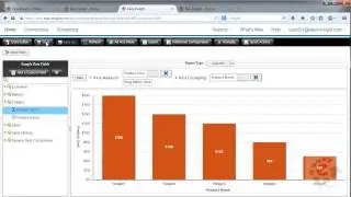 Introduction to the Easy Insight Report Editor
