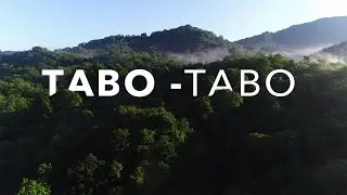 Pemanfaatan KHDTK Hutan Diklat Tabo-Tabo Sulawesi Selatan