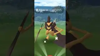 When the field research task is unexpected... #pokemongo