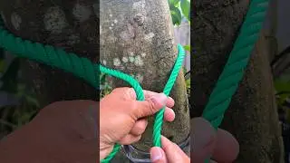 This is a Very Strong Knot 💯 #knot #knottying #shortvideo