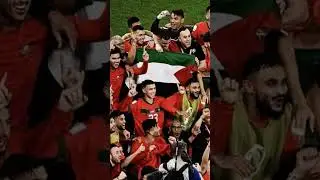 Free Palestine #football #viral #fyp