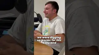 Would you save a fallen baby bird? #podcast