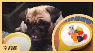ASMR 7 fruits that any dog can eat (Fruit Yaourt Rainbow)