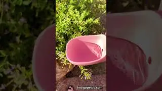 Portable Pet Water Bottle for Hydration! #petwaterbottle #DealGuesser #fyp