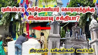 புளியம்பட்டி கொடிமரத்துக்கு இவ்வளவு சக்தியா | PULIYAMPATTI ANTHONIYAR CHURCH