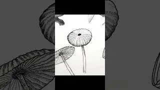 🍄👀🍄mycoorganisms🍄👀🍄 #mycology #organisms #owlzeyeart #artwork #illustrations #design
