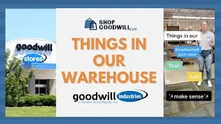 Things at the ShopGoodwill Warehouse That Just Make Sense #Shorts