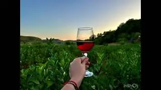 ARONIA 2024
