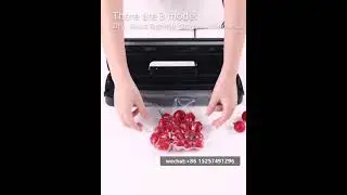 VACUUM SEALING FOOD MACHINE