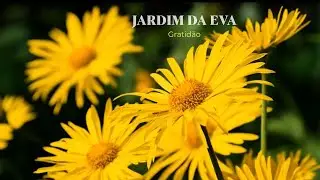 Jardim da Eva | Gratidão — Música Calmante com Flores para Paz Interior