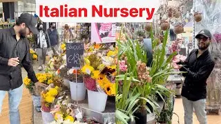 Italian Garden Nursery Tour with Plant name and price || Indian Nursery vs Italian Plant Nursery