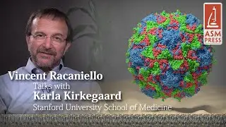 Interview with Karla Kirkegaard, PhD, Vol 1, Ch. 6: Principles of Virology, 4th Edition
