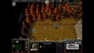 Warcraft 3 Bleach vs One Piece v7.1a secret item