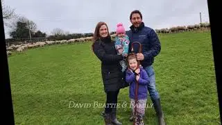 David Beattie Flock 2419 - Registered Pure Bred Lleyn