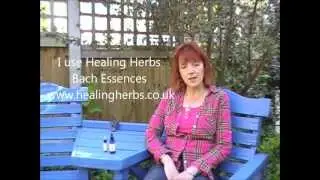 What are flower essences? How can they help ?