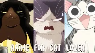 8 Best Anime For Cat Lovers