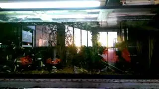 VIDEO0033