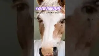 #funny #horse #satire #impersonations #group7 #tiktokcommentary #parody  #insultcomedy