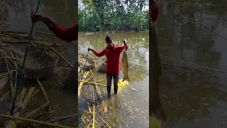 Fishing hook se milgaya bare size ka machli🎣😍(897) hindi hook fishing video #hookfishing