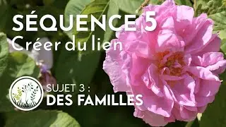 Séquence 5 – Sujet 3 : Des familles