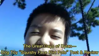 Dog Toy &ldquo;Squishy Face Flirt Pole&rdquo; Test & Review by FDBros