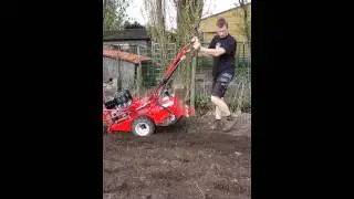 Tuinbakfrees -Tuinfrees huren bij wyckrent