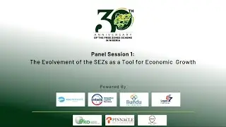 1  The Evolvement of The SEZs as a Tool for Economic Growth SEZ Expert Outlook