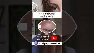 🔮 Jak funguj&iacute; na&scaron;e oči 👀 | Lidsk&yacute; zrak 👁️