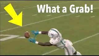 Jakeem Grant Makes A Diving Grab | Dolphins Vs Jaguars | NFL 2020 Week 3