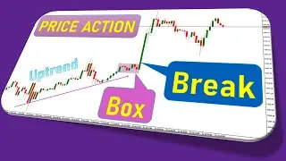 Price Action Concept - Code Robot So Easy (English) | Lap Trinh Giao Dich Tu Dong MQL5 | eCodePro