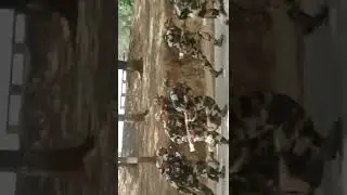 BSF TRAINING NEW VIDEO