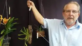 Fazendo um suporte de arame para os vasos de orquídeas