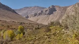 Inside the Gahro Grape Nursery: Where Thousands of Vines Come to Life