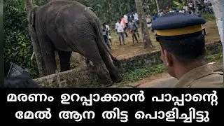 പാപ്പാനെ കിണറ്റിലേക്കെറിഞ്ഞ ആന മരണം ഉറപ്പ് വരുത്താൻ തിട്ട പൊളിച്ചിട്ടു | kerala elephant attack