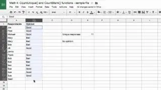 CountUnique and CountBlank