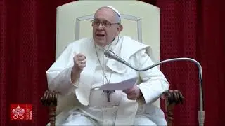 El Papa Francisco: el milagro en una ni&ntilde;a de 9 a&ntilde;os, curada por intercesi&oacute;n de La Virgen de Luj&aacute;n