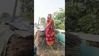 monta churi korle #bulbul short videos