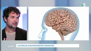 Les règles d'or pour rester concentré #cadire 30.10.2020