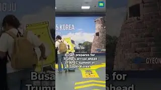 South Korea's Busan gears up for Trump's visit ahead of APEC