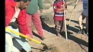 geoglifo ballena kuyima canal 22 I y II